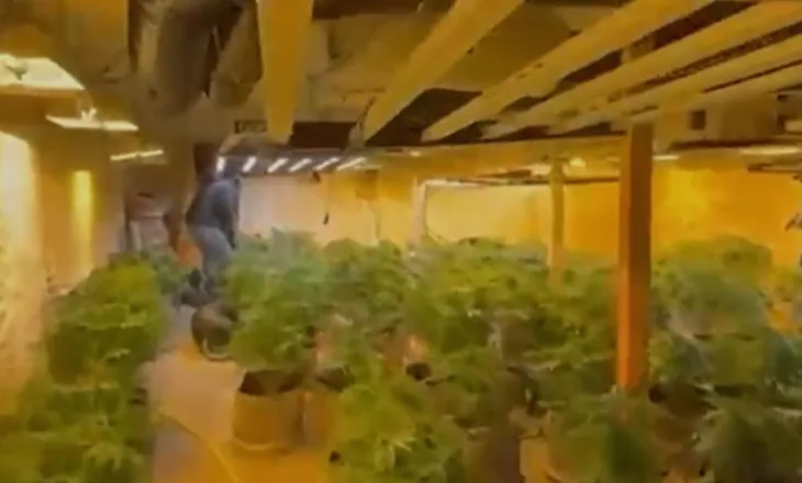 Zbulohet ‘shtëpia e barit’ në Malësi të Madhe, vihet në pranga një 35-vjeçar, ndalohen 4 punonjës të OSHEE