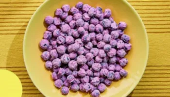 Zbuloni frutat që ju ndihmojnë të jeni sa më energjik gjatë dimrit