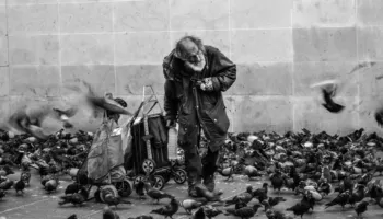 Zgjedhjet morale që ne bëjmë, nxiten nga logjika apo emocionet?