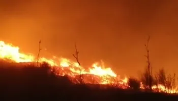 Zjarr i madh pranë bazës së Pashalimanit në Orikum, era e fortë favorizon përhapjen e flakëve! Ndërhyjnë zjarrfikësit