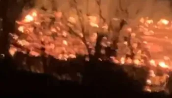 Zjarr në Elbasan/ Shkrumbohet një banesë, 4 anëtarë të familjes pa strehë