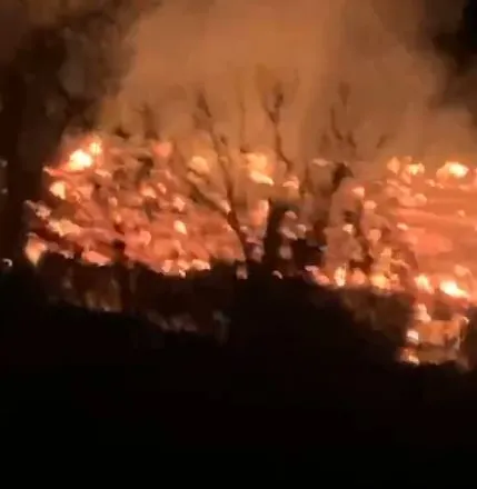 Zjarr në Elbasan/ Shkrumbohet një banesë, 4 anëtarë të familjes pa strehë