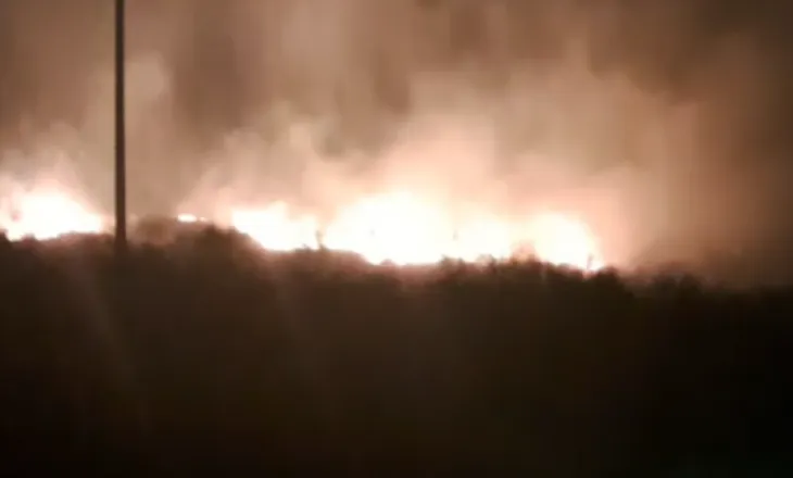 Zjarr në Orikum/ Dyshohet i qëllimshëm, era favorizon përhapjen e flakëve