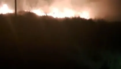 Zjarr në zonën e kënetës në Orikum, era e fortë favorizon përhapjen e flakëve