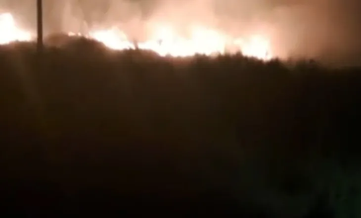 Zjarr në zonën e kënetës në Orikum, era e fortë favorizon përhapjen e flakëve