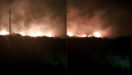 Zjarr në zonën e Lagunës në Orikum, era e fortë favorizon përhapjen e flakëve