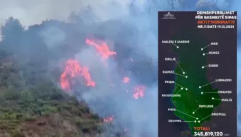 Zjarret e verës/ Mbrojtja: Mbi 345 milionë lekë dëmshpërblim për 15 bashkitë e prekura (LISTA)
