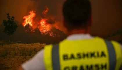 Zjarret e verës së shkuar, mbi 345 milionë lekë dëmshpërblim për 15 bashki