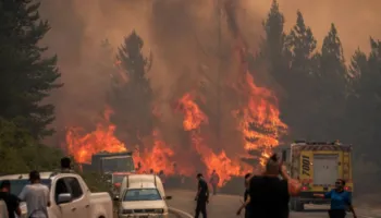 Zjarret në pyjet e Argjentinës, shpallet gjendje e jashtëzakonshme në Patagoni
