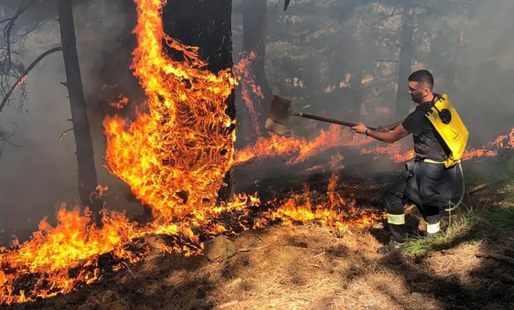 Zjarret, normaliteti i ri/2025, viti i tretë më i ngrohtë në histori
