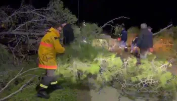 Zjarri në Orikum, era e fortë rrëzon pishat, bllokohet rruga drejt Zvërnecit