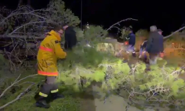 Zjarri në Orikum, era e fortë rrëzon pishat, bllokohet rruga drejt Zvërnecit