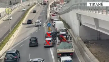 244 shoferë gjobiten në Tiranë për shkelje të rregullave të qarkullimit