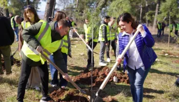 2,500 fidanë të rinj i shtohen Krastë, 35 mijë pemë në dy vite për mushkëritë e qytetit