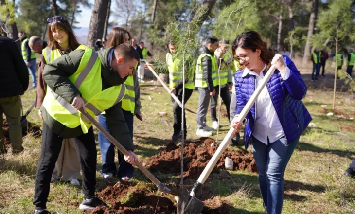 2,500 fidanë të rinj i shtohen Krastë, 35 mijë pemë në dy vite për mushkëritë e qytetit