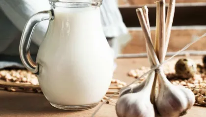 4 arsye magjike pse duhet te pini qumësht me hudhra