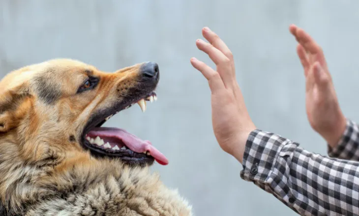 ’65-vjeçarja humbi jetën nga kafshimi i qenit’, flet kushëriri i viktimës: Kafshimet ishin të shumta, nuk i mbijetoi dot plagëve