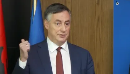 “A do takohesh me Sali Berishën?”, McAllister: Jo! Do shkoj direkt në aeroport