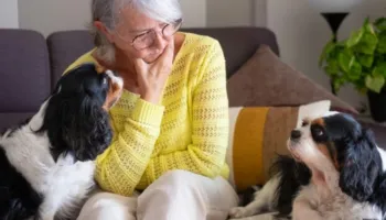 A mund ta kuptojnë vërtet qentë kur pronari i tyre është i trishtuar?
