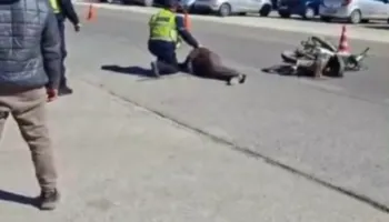 Aksident në aksin Levan-Fier, plagoset një person