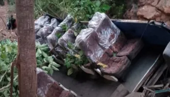 Aksident në Bolivi, humbin jetën 14 persona