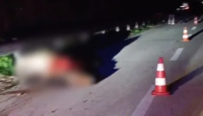 Aksident në Lushnje, shoferi përplas një kalë! Transportohet në spital pasagjerja