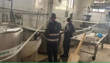 AKU ‘zbarkon’ në baxhon në Fier, bllokohen mijëra kg produkte qumështi, nga gjalpi te mocarela e pasigurt për konsum