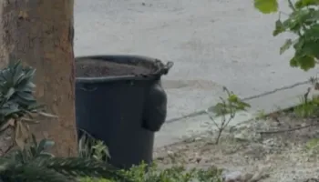 Alarm kimik, njoftohet policia e Vlorës/ Ambientalisti sinjalizon përzierje të rrezikshme, rrethohet zona