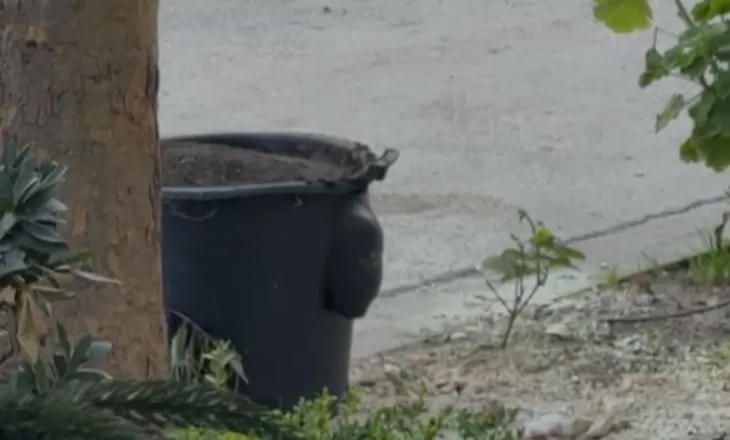 Alarm kimik, njoftohet policia e Vlorës/ Ambientalisti sinjalizon përzierje të rrezikshme, rrethohet zona