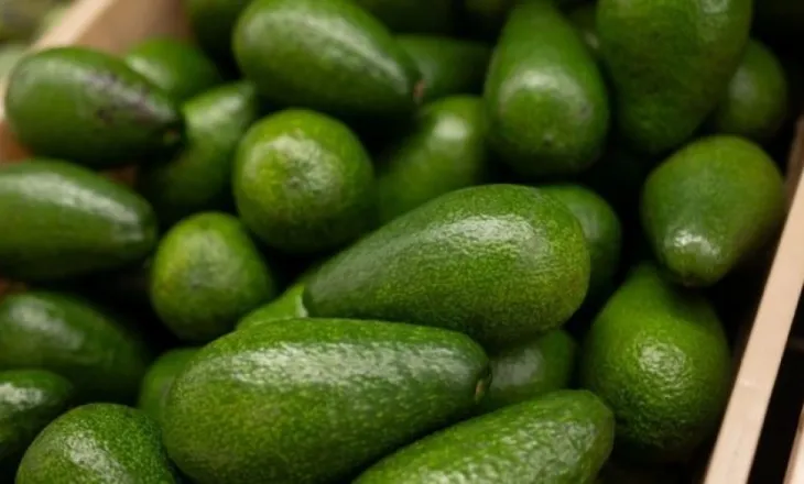 Alarm në tregjet evropiane për avokadot kolumbiane, rezultojnë me nivele të larta të kadmiumit