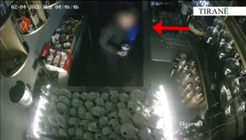 Arrestohet 14-vjeçari në Tiranë, dyshohet se kreu 150 vjedhje