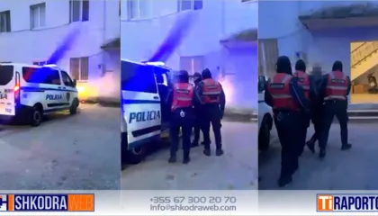 Arrestohet nga policia 39- vjeçari nga Malësia e Madhe, ushtroi dhunë ndaj nënës së tij…