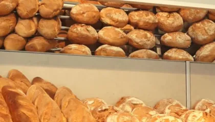 Arseniku në bukë, reagon Kuvendi/ Deputetët kërkojnë analiza shtesë pas investigimit të Top Channel