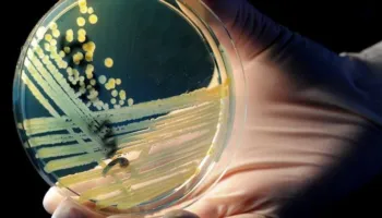 Baktere 5,000-vjeçare rezistente ndaj antibiotikëve gjenden në një shpellë akulli në Rumani