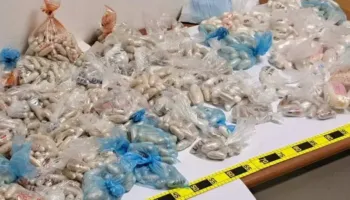 Bie në prangat e policisë 24-vjeçari shqiptar/ Ktheu dhomën e gjumit në laborator kokaine, gjenden e 36 mijë euro cash