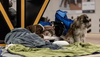 Bisedimet mbahen javën e ardhshme, Zelensky: SHBA kërkon që lufta me Rusinë të përfundojë deri në qershor