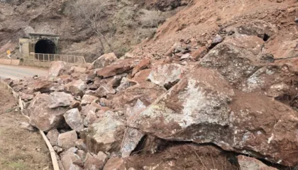 Bllokimi i aksit Librazhd-Qafë Thanë/ PD: Ky është bilanci i vjedhjes së Belinda Ballukut