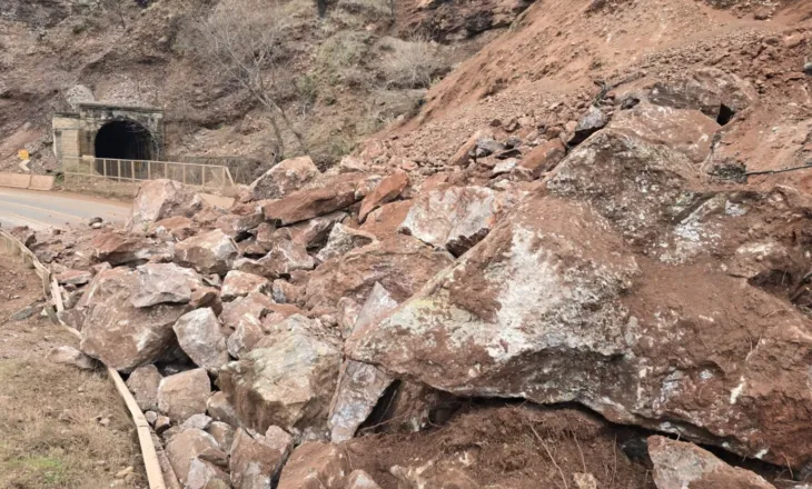 Bllokimi i aksit Librazhd-Qafë Thanë/ PD: Ky është bilanci i vjedhjes së Belinda Ballukut