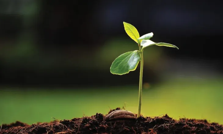 Bujqësia, midis konsolidimit dhe rënies