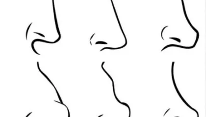 Çfarë tregon forma e hundës për karakterin tuaj