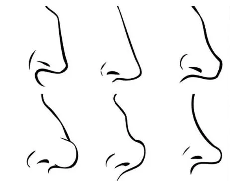 Çfarë tregon forma e hundës për karakterin tuaj