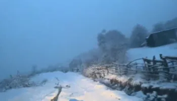 Dëbora arrin në 20 cm në fshatin Rovje të Gramshit, kalohet vetëm me zinxhirë