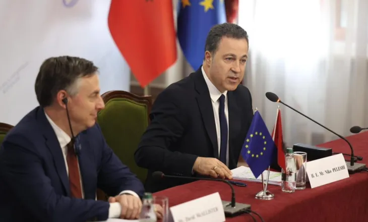 Delegacioni i Komisionit të Jashtëm të Parlamentit Europian në Kuvend, Peleshi: Anëtarësimi në BE mbetet prioritet kombëtar