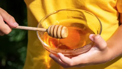 Detaje nga vdekja tragjike e 4-vjeçarit në Vlorë, dyshohet se i bëri reaksion mjalti