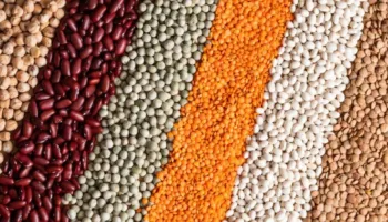 Diabeti: Ekzaminimi i hershëm mund të ndihmojë në parandalimin e ndërlikimeve