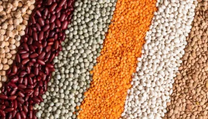 Diabeti: Ekzaminimi i hershëm mund të ndihmojë në parandalimin e ndërlikimeve