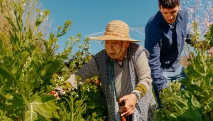 Disa minuta aktivitet i përditshëm mund të përmirësojnë shëndetin dhe të zgjasin jetën