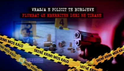 “Do të vrasim më të mirin e fisit”/ Hakmarrja mes dy familjeve në Mamurras, zbardhet dëshmia e kunatit të Imer Hajdarit