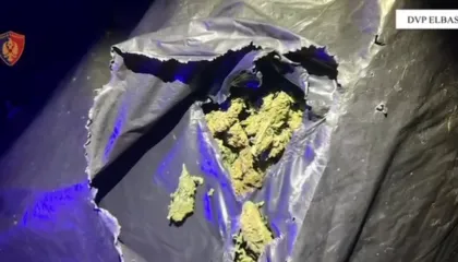 Drogë nga ‘jugu në veri’, goditet banda në Elbasan: Arrestohen 4 persona, sekuestrohen kanabis dhe armë (EMRAT-VIDEO)