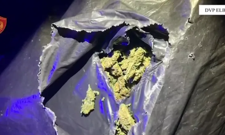 Drogë nga ‘jugu në veri’, goditet banda në Elbasan: Arrestohen 4 persona, sekuestrohen kanabis dhe armë (EMRAT-VIDEO)